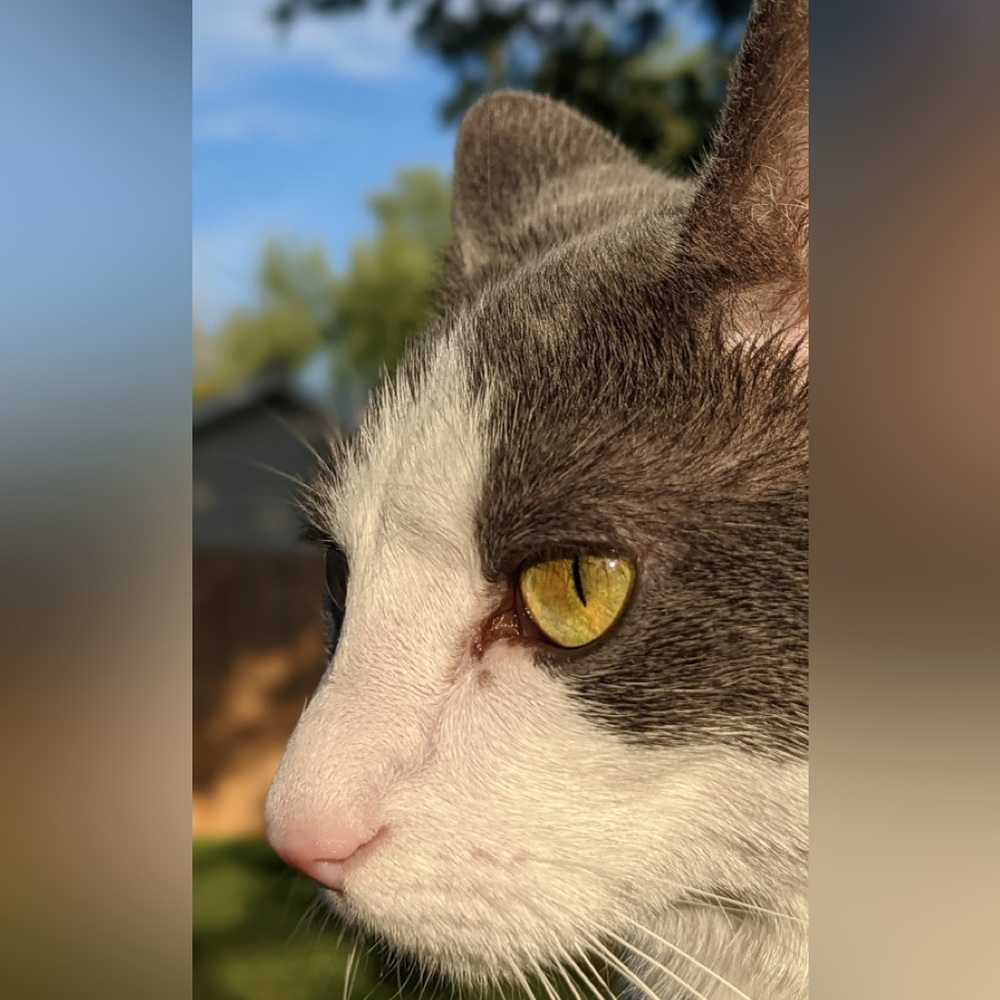 Meet your Posher, Kylie